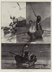 Pesca en el mar frente a la costa de Bretaña